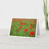 Red Poppe Blume Card Karte (Vorderseite)