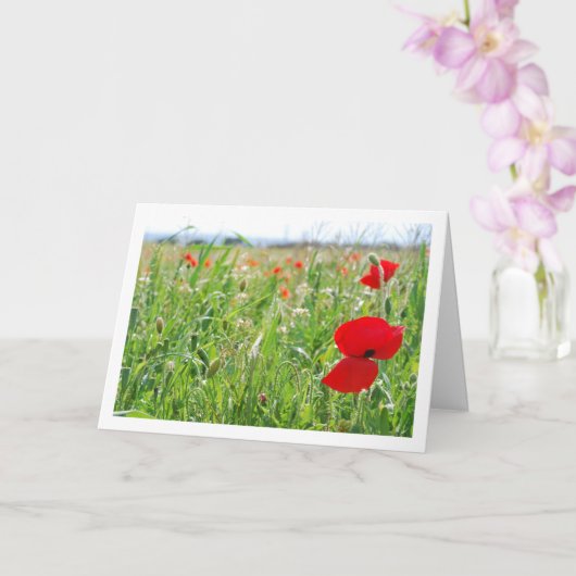 Red Poppe Blume Card Karte (Orchidee)