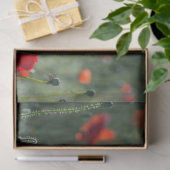 Red Poppe Field Decoupage Seidenpapier (Geschenk)