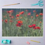 Red Poppe Field Decoupage Seidenpapier (Basteln)