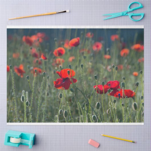 Red Poppe Field Decoupage Seidenpapier (Basteln)