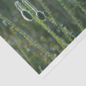 Red Poppe Field Decoupage Seidenpapier (Ausschnitt)