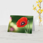 Red Poppe Samenkarte Karte (Gelbe Blume)