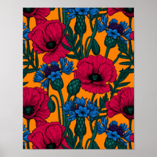 Red poppies and blue cornflowers on orange poster