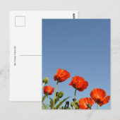 Red Poppies & Blue Sky Postkarte (Vorne/Hinten)