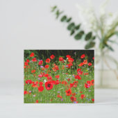 Red Poppies Field DIY Postkarte (Stehend Vorderseite)
