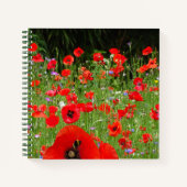 Red Poppies Field Notebook Notizblock (Vorderseite)