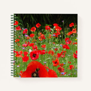 Red Poppies Field Notebook Notizblock