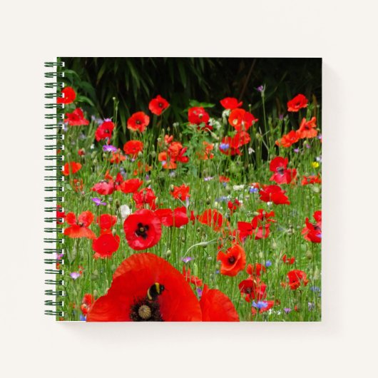 Red Poppies Field Notebook Notizblock (Vorderseite)