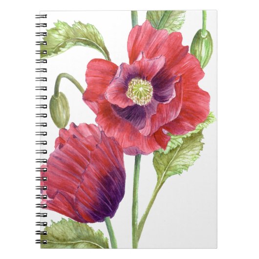 Red Poppies floral Art Notizblock (Vorderseite)