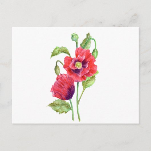 Red Poppies floral Art Postkarte (Vorderseite)
