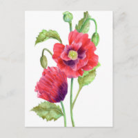 Red Poppies floral Art