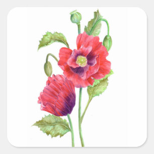 Red Poppies floral Art Quadratischer Aufkleber