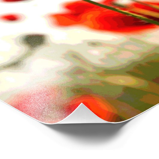 Red Poppies Fotodruck (Ecke)