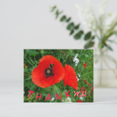 Red Poppies mit Biene DANK YOU Postcard Postkarte (Stehend Vorderseite)