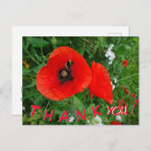 Red Poppies mit Biene DANK YOU Postcard Postkarte (Vorne/Hinten)