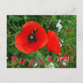 Red Poppies mit Biene DANK YOU Postcard Postkarte (Vorderseite)