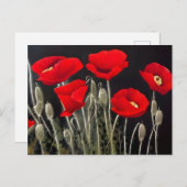Red Poppies Nature Art Postkarte (Vorne/Hinten)