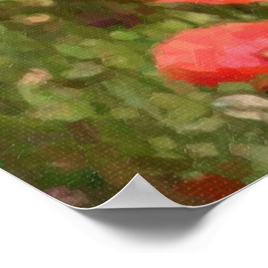 Red Poppies Poster (Ecke)