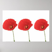 Red Poppies Poster Print (Vorne)