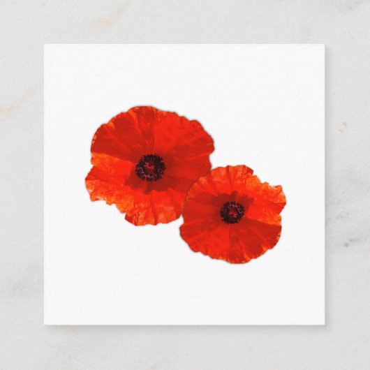 Red Poppies wollen gut verpackte Karten Bulk (Rückseite)