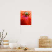Red Poppy Blume Macro Poster (Küche)