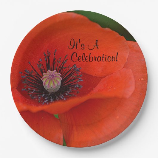 Red Poppy Celebration Pappteller (Vorderseite)