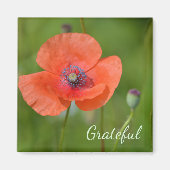 Red Poppy Dankbarkeit Magnet (Vorne)