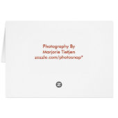 Red Poppy Dankeschön Card (Rückseite Horizontal)