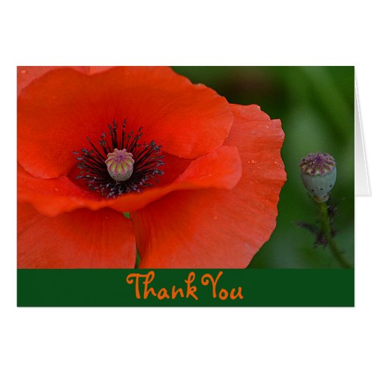 Red Poppy Dankeschön Card (Vorderseite (Horizontal))
