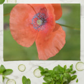 Red Poppy Dish Handtuch (Gefaltet)