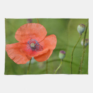 Red Poppy Dish Handtuch