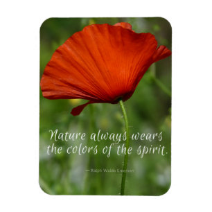 Red Poppy Emerson Nature Quote Magnet