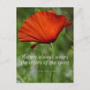Red Poppy Emerson Zitat Postkarte