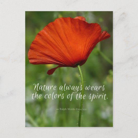 Red Poppy Emerson Zitat Postkarte (Vorderseite)
