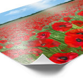 Red poppy field wall art decor landscape fotodruck (Ecke)