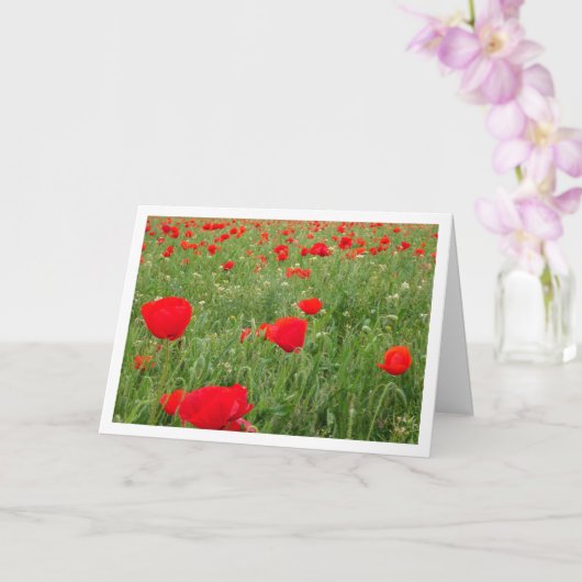Red Poppy Flowers Karte (Orchidee)