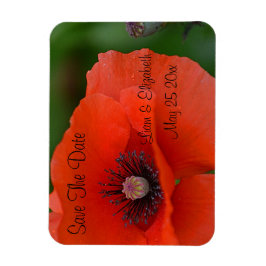 Red Poppy Formal Save the Date Magnet