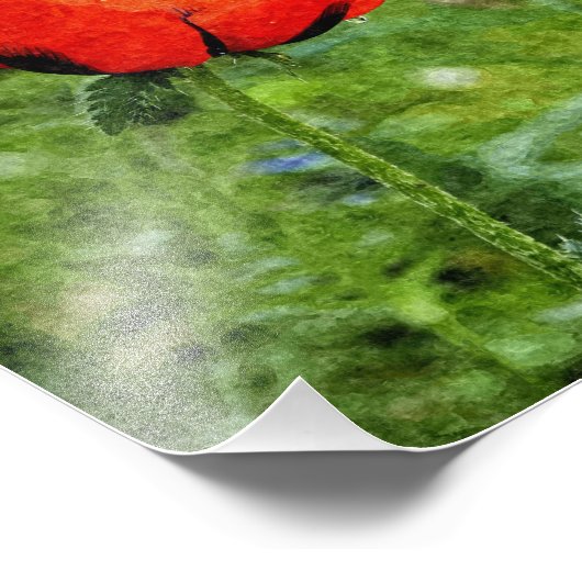 Red Poppy Fotodruck (Ecke)