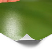 Red Poppy Fotodruck (Ecke)