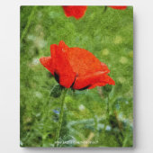 Red Poppy Fotoplatte (Vorderseite)