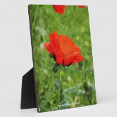 Red Poppy Fotoplatte (Seite)