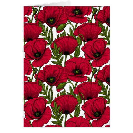 Red Poppy garden 2 (Vorne)