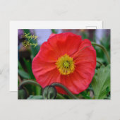 Red Poppy Happy Spring Postkarte (Vorne/Hinten)