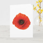 Red Poppy Karte (Gelbe Blume)