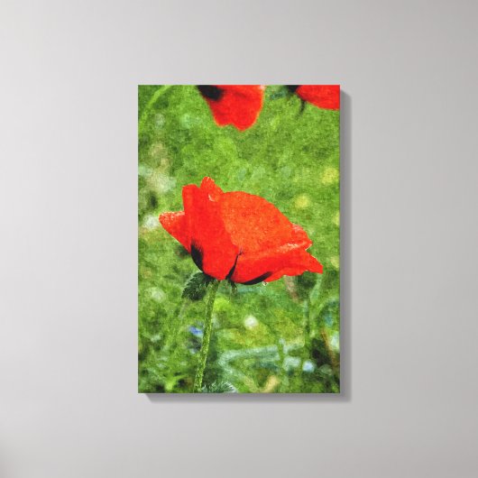 Red Poppy Leinwanddruck (Vorderseite)
