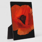 Red Poppy Macro Fotoplatte (Seite)