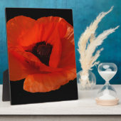 Red Poppy Macro Fotoplatte (Seite)
