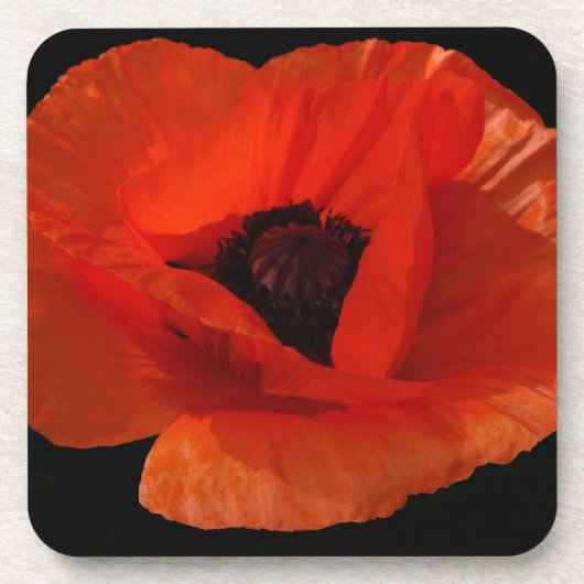 Red Poppy Macro Getränkeuntersetzer (Vorderseite)