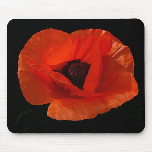Red Poppy Macro Mousepad (Vorne)